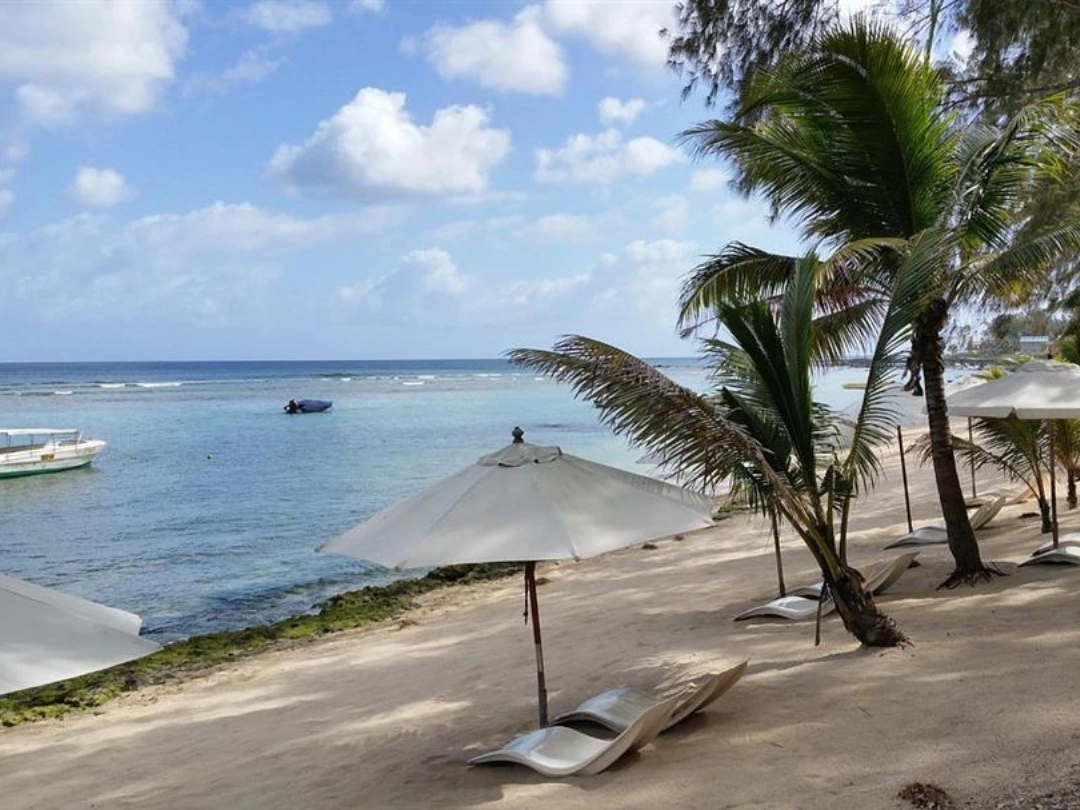 Magical Mauritius