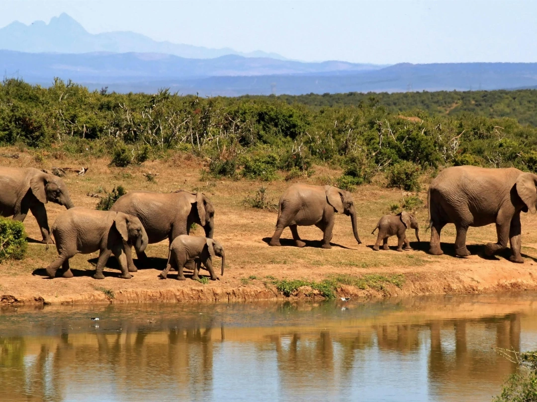 South African Sojourn