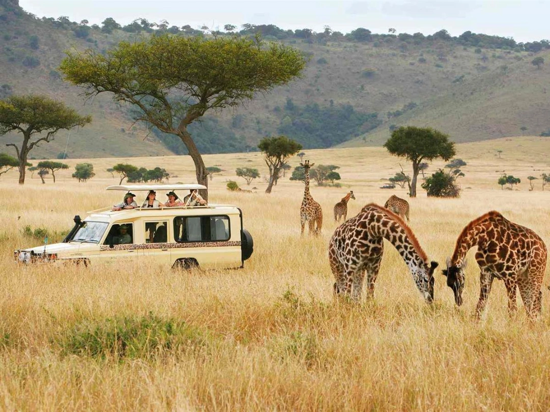 Kenya Wildlife Premium adventure